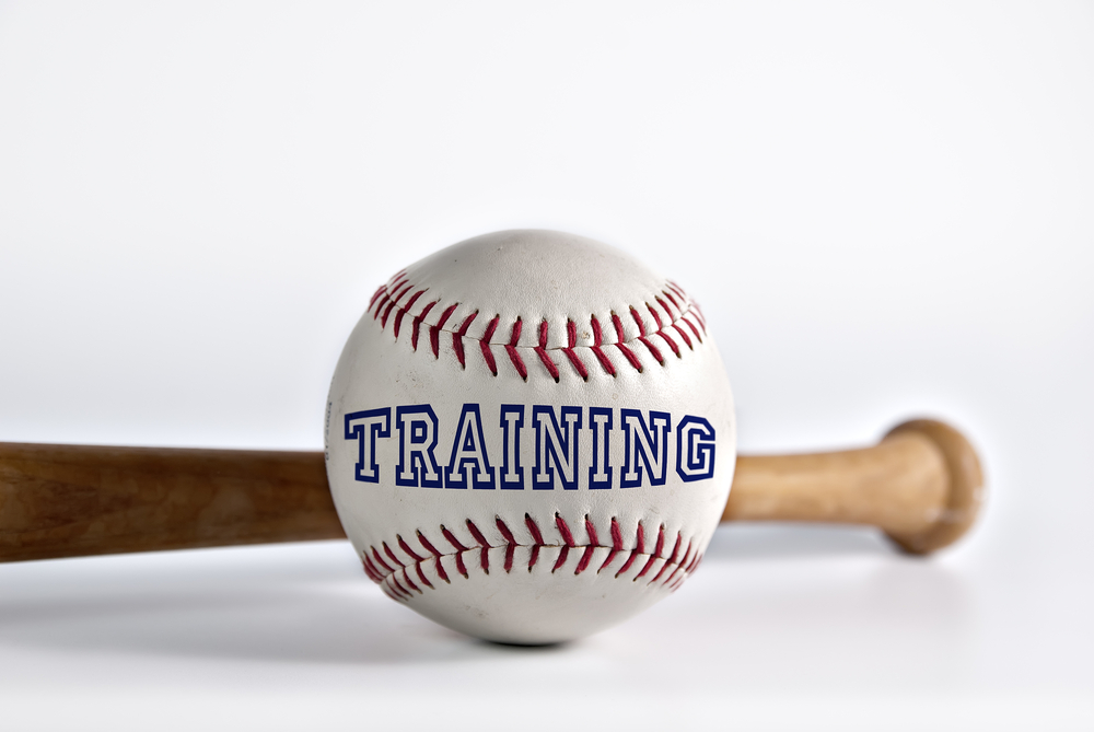 A baseball with the work "training" printed on it sits in front of a wooden baseball bat