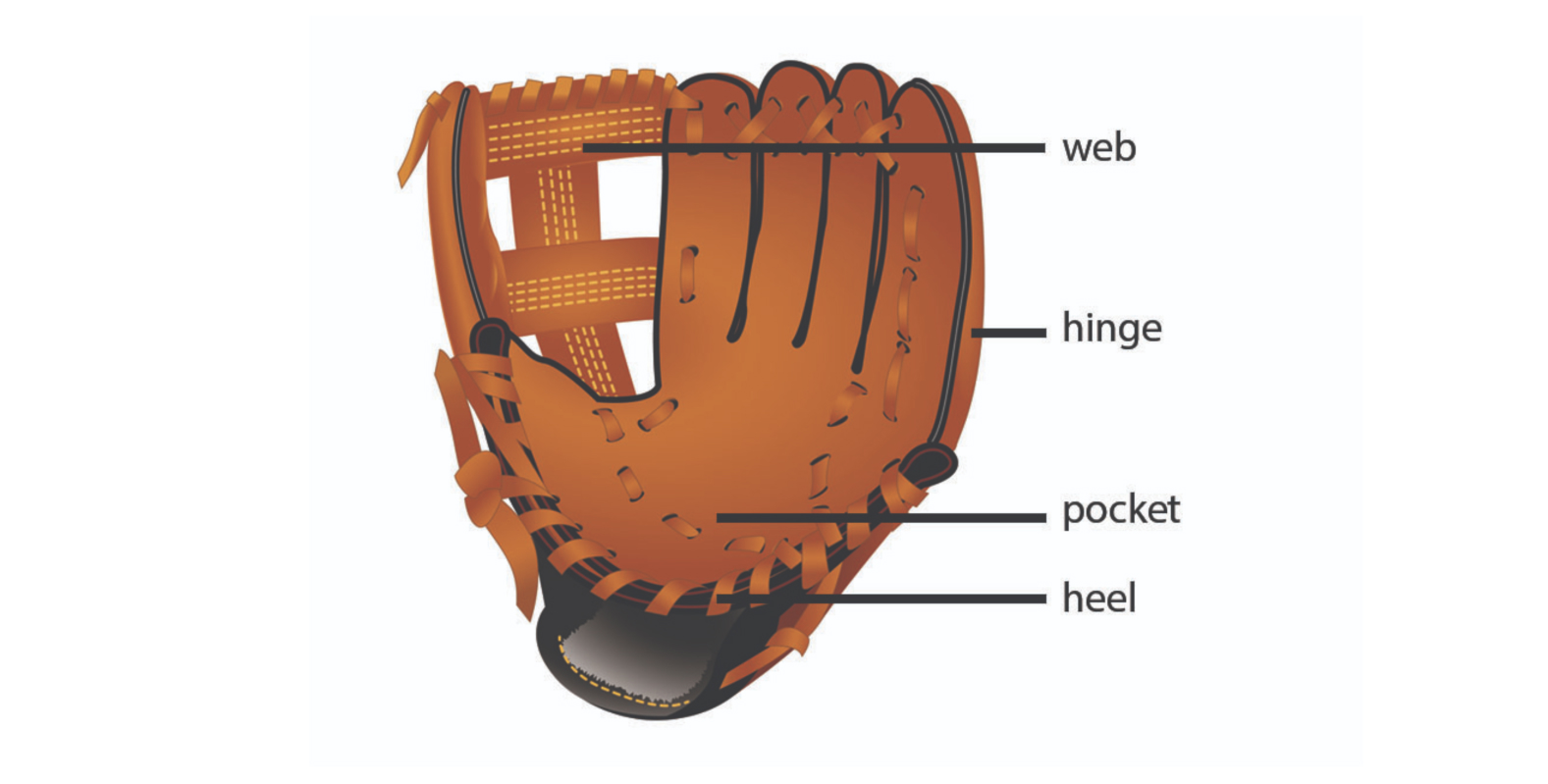 vant Desværre enhed The Ultimate Guide to Youth Travel Baseball Equipment